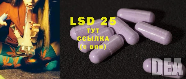 спайс Магас