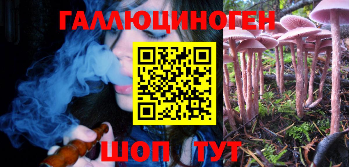 Домодедово  Галлюциногенные грибы MAGIC MUSHROOMS  Вход с VPN 