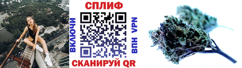 как найти наркотики Домодедово Конопля Ganja